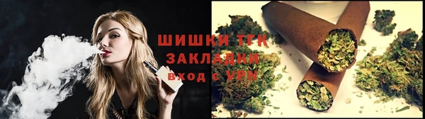 крисы Магас